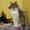 Отзыв от Яна Баранова